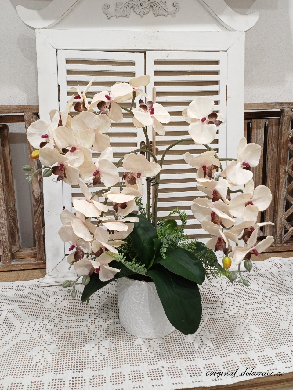 Béžovovínová orchidej v bílém obalu