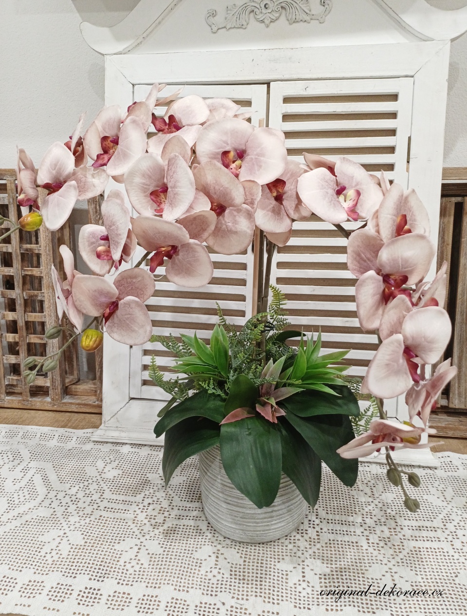 Růžovovínová orchidej v bílošedém obalu