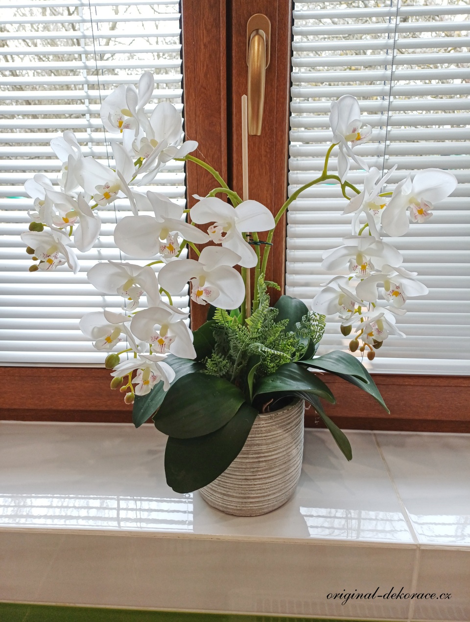 Bílá orchidej v bílošedém obalu