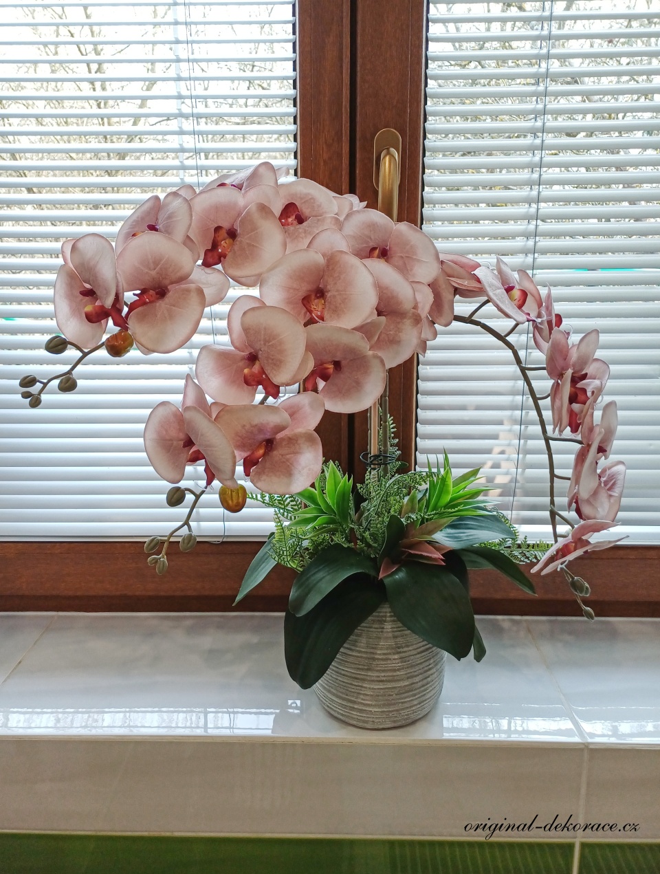 Růžovovínová orchidej v bílošedém obalu