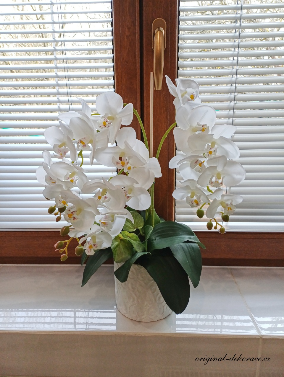 Bílá orchidej v bílém obalu