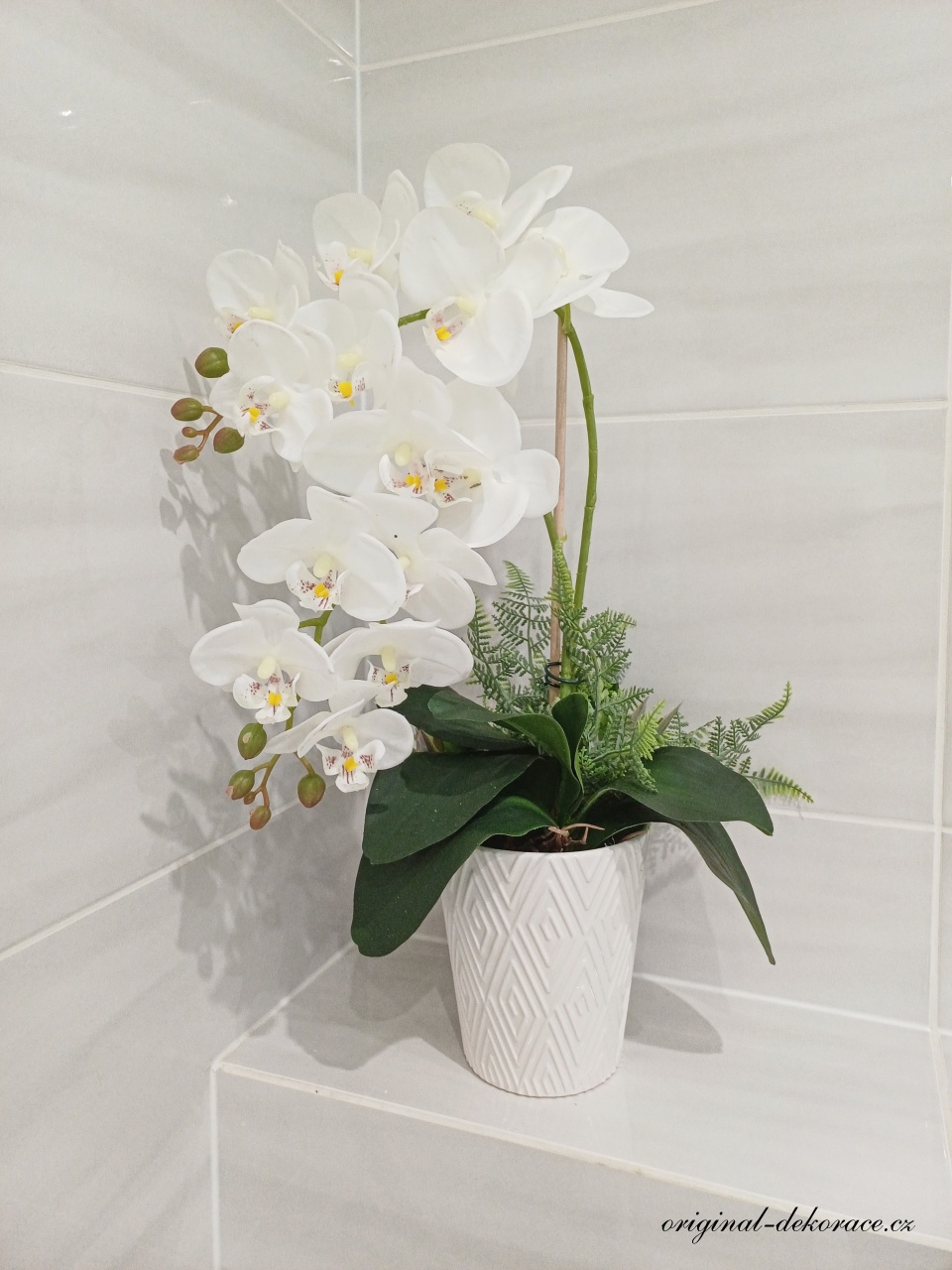 Bílá orchidej v bílém keramickém obalu